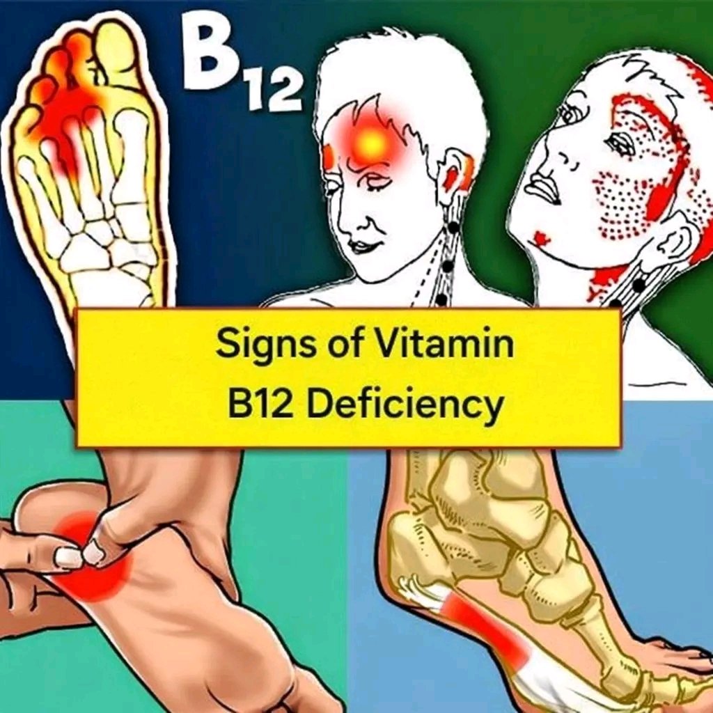 A Woman Over 40 Needs Vitamin B12 Like Air!