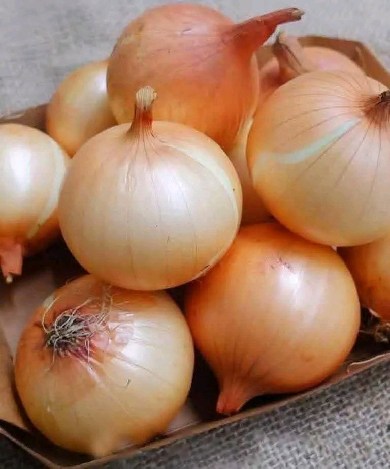 🧅 Doctors reveal that eating onion causes… (See more 👇💬)