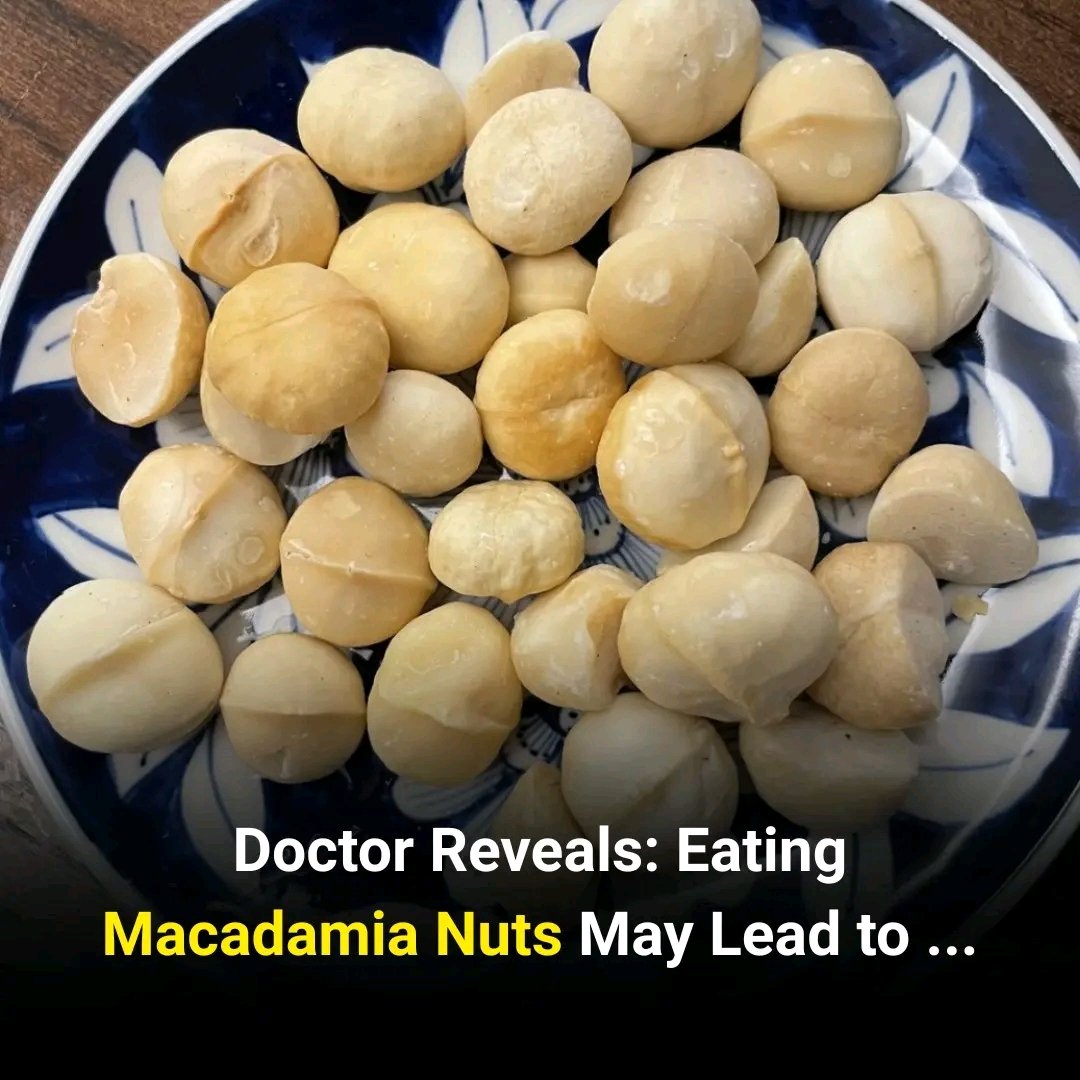🩺 A Doctor Explains the Surprising Effects of Eating Macadamia Nuts