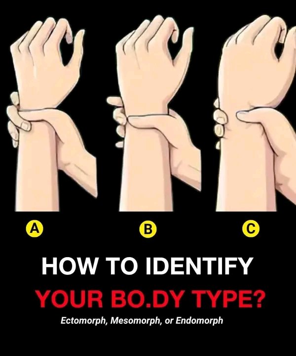 Body Types: Are You Ectomorph, Mesomorph, or Endomorph