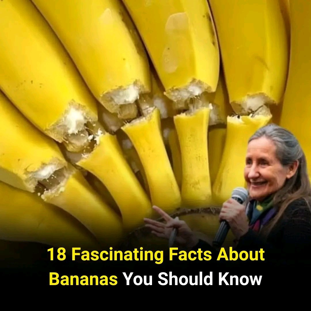 🍌 18 Facts About Bananas That Make This Fruit Even More Interesting
