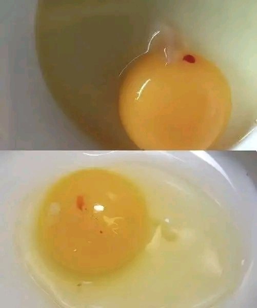Red Spot on a Raw Egg: What Is It and Can You Eat It? 🥚