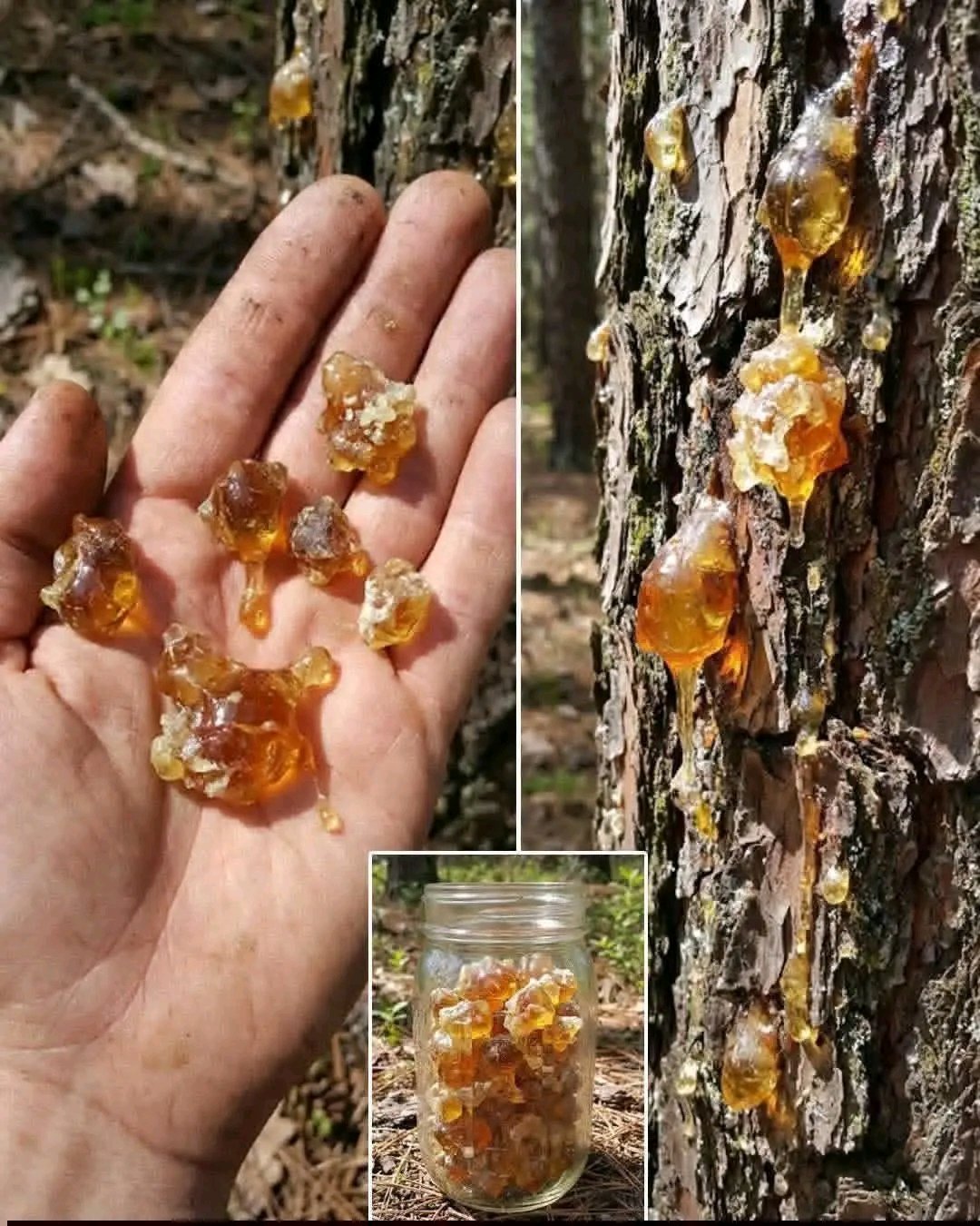 Most People Underestimate This Resin… Until They Discover Its Power and Value 👀👇