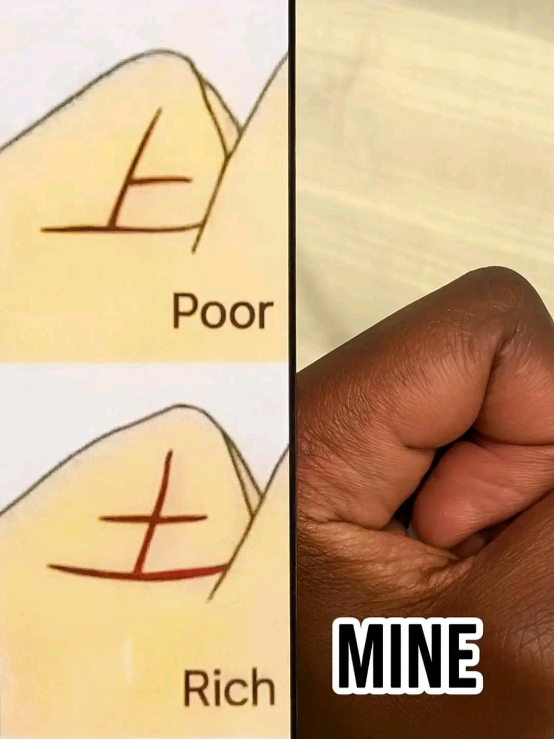 ✋ The Secret of Your Hand: Can Palmistry Reveal Wealth or Poverty?