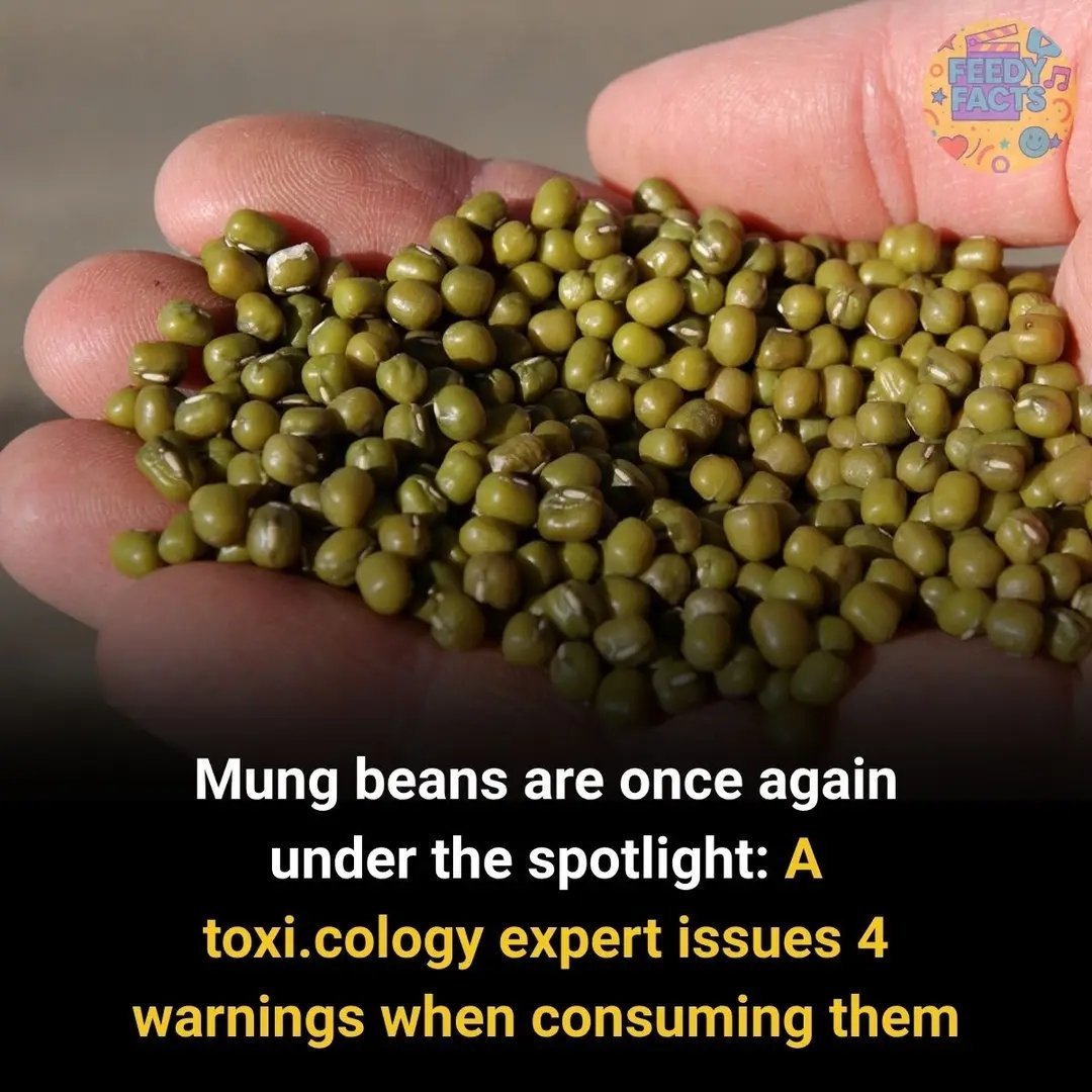 ⚠️ Why Experts Are Warning About Mung Beans Again (Most People Ignore This!)