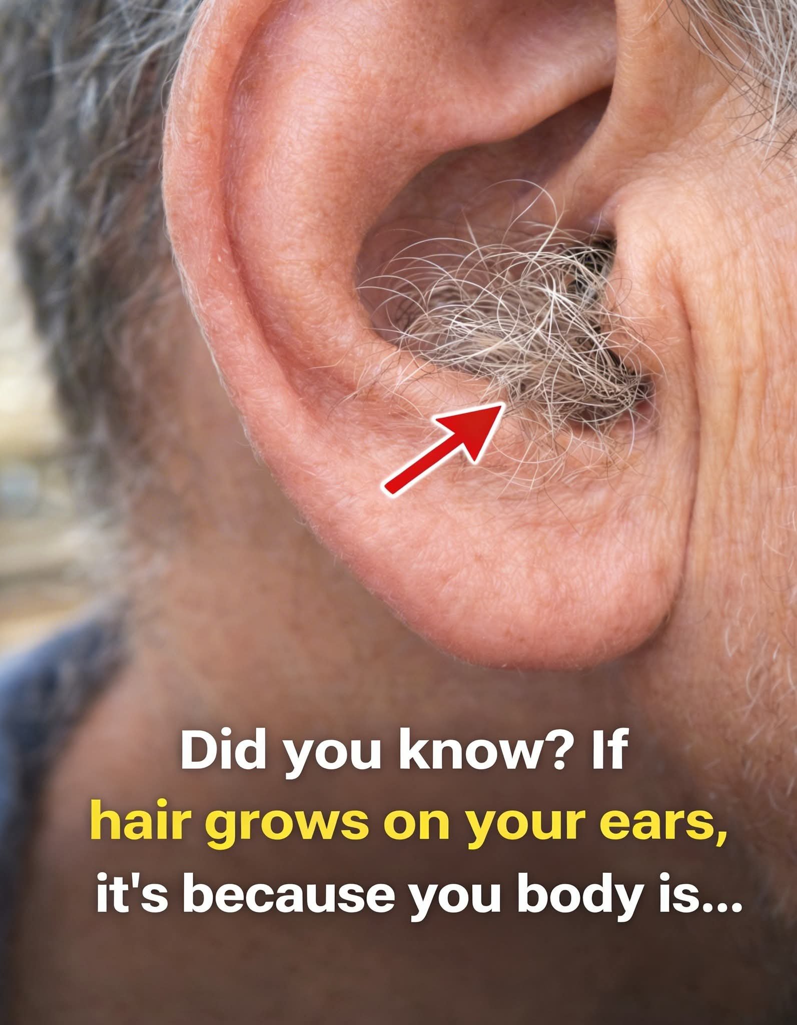 Ear Hair and Your Health: What Doctors Say About This Overlooked Body Sign