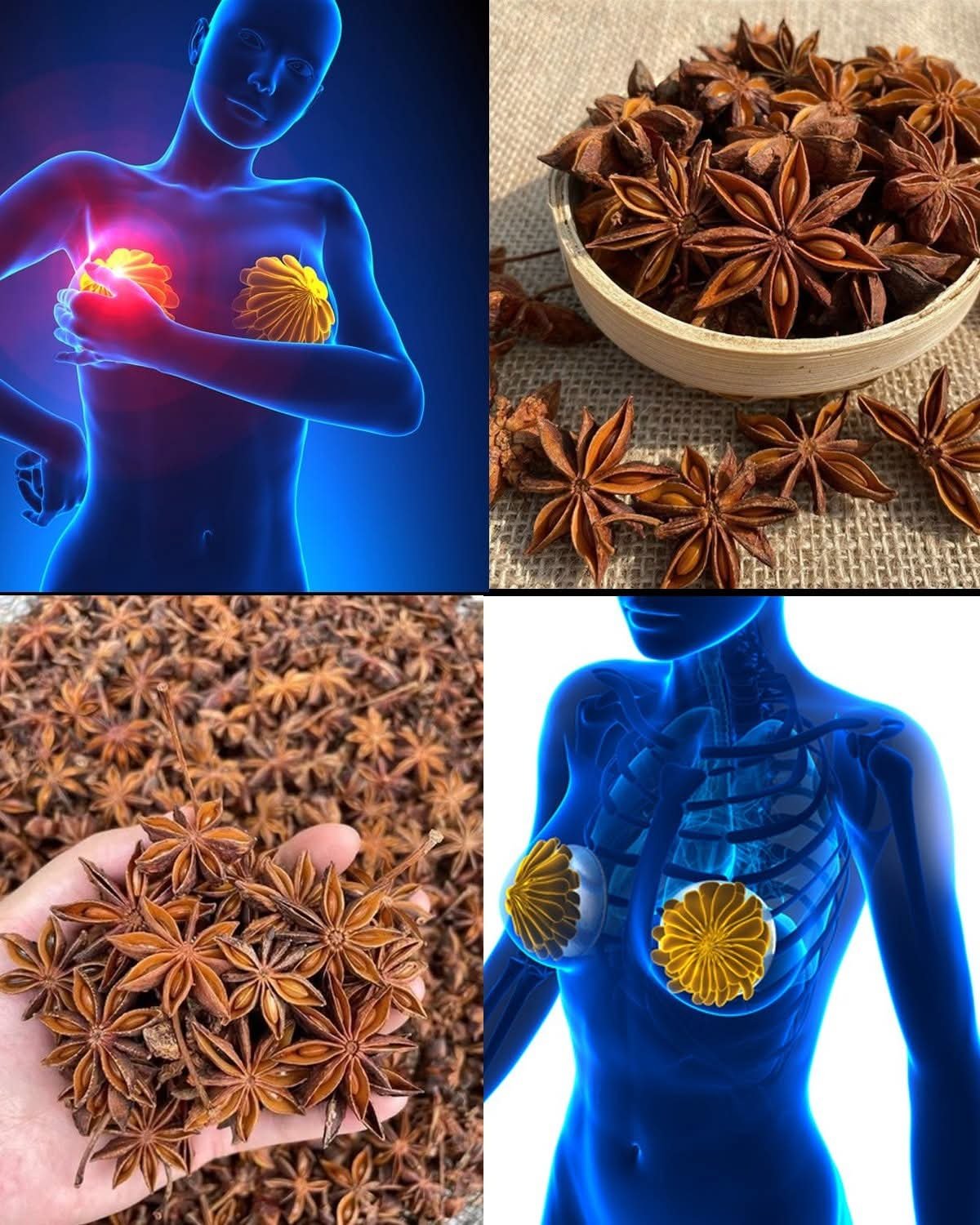 🌿 Anise Seeds: Small Spice, Big Benefits for Women
