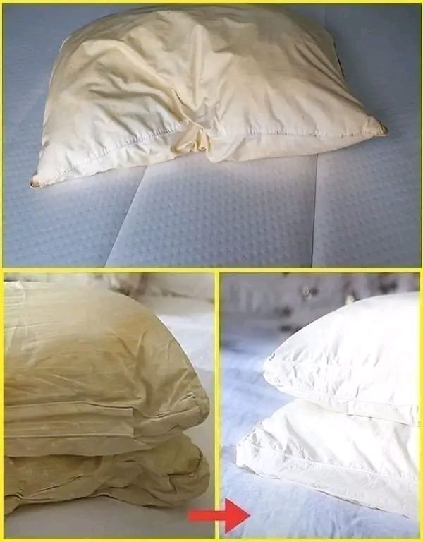 Here’s How to Clean Dirty Bed Pillows and Leave Them White and Smelling Fresh