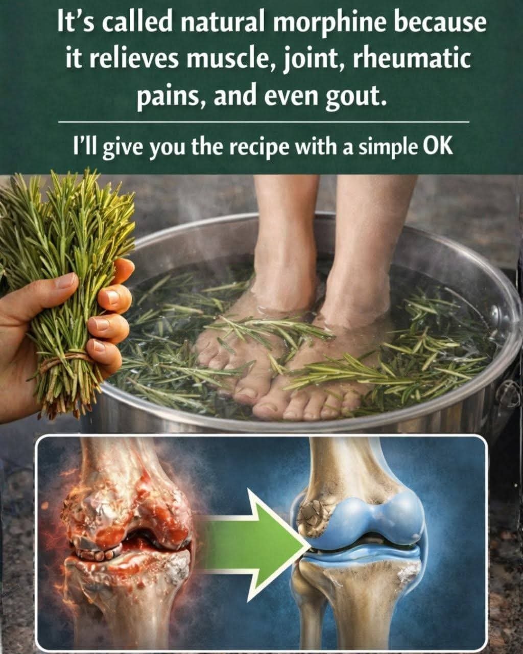 🌿 Rosemary: A Powerful Medicinal Herb to Relieve Pain and Support Natural Health