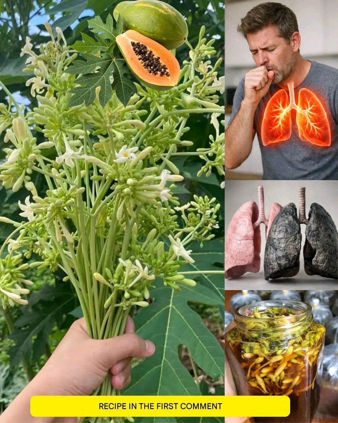 17 Surprising Benefits of Papaya Flowers 🌼