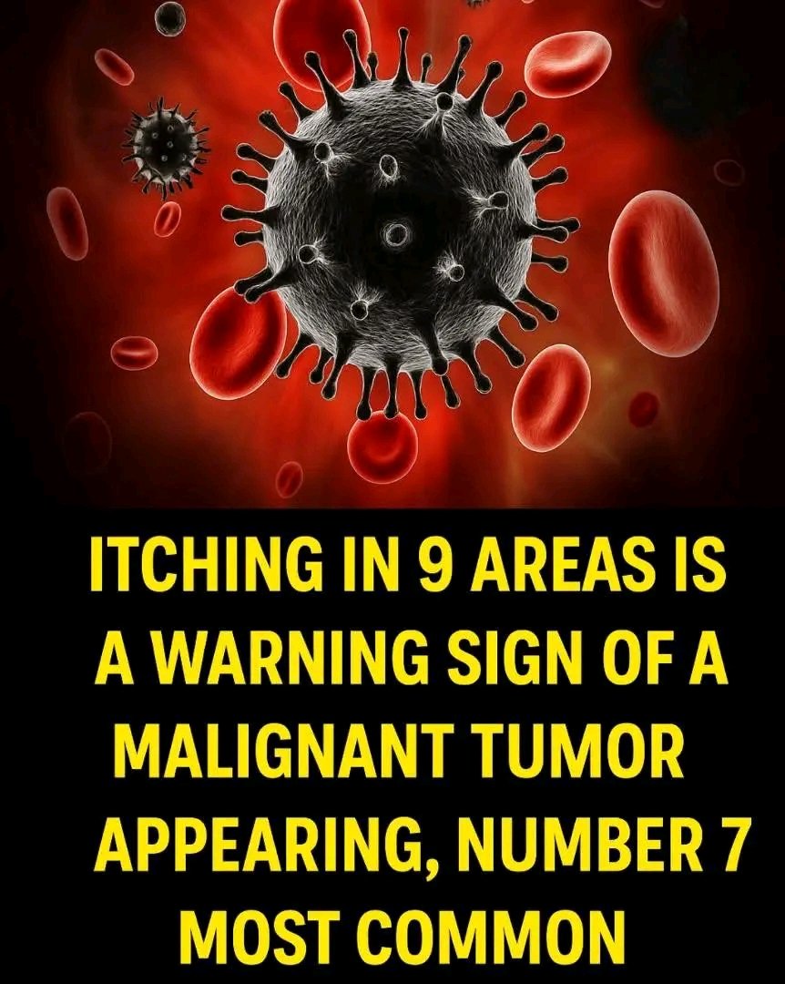 Itching in 9 Areas: A Warning Sign of Malignant Tumors, Number 7 Is the Most Common 👇👇🥸